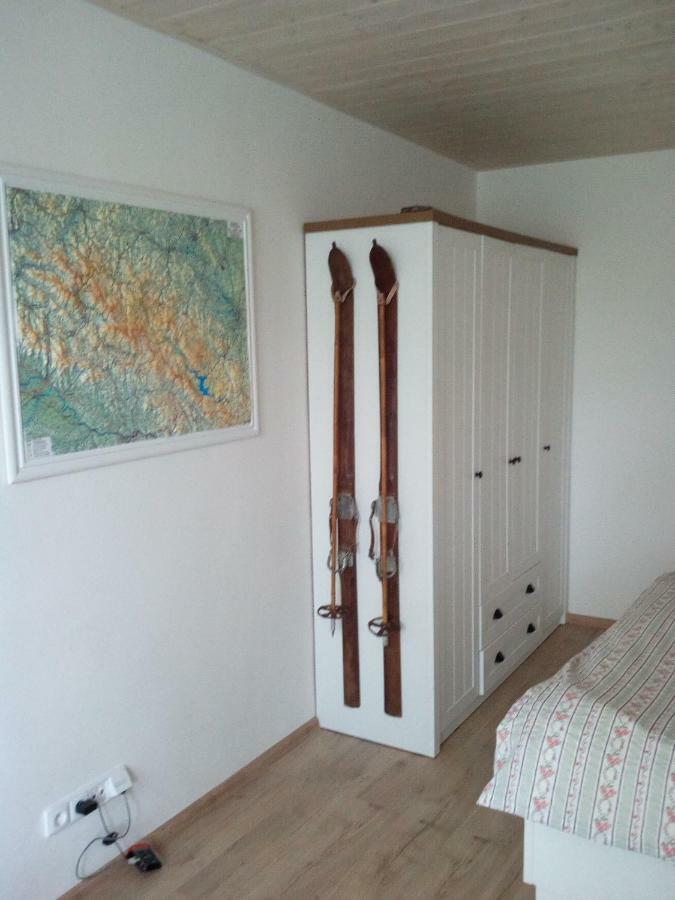 Venkovsky Apartman Apartment Stozec Ngoại thất bức ảnh